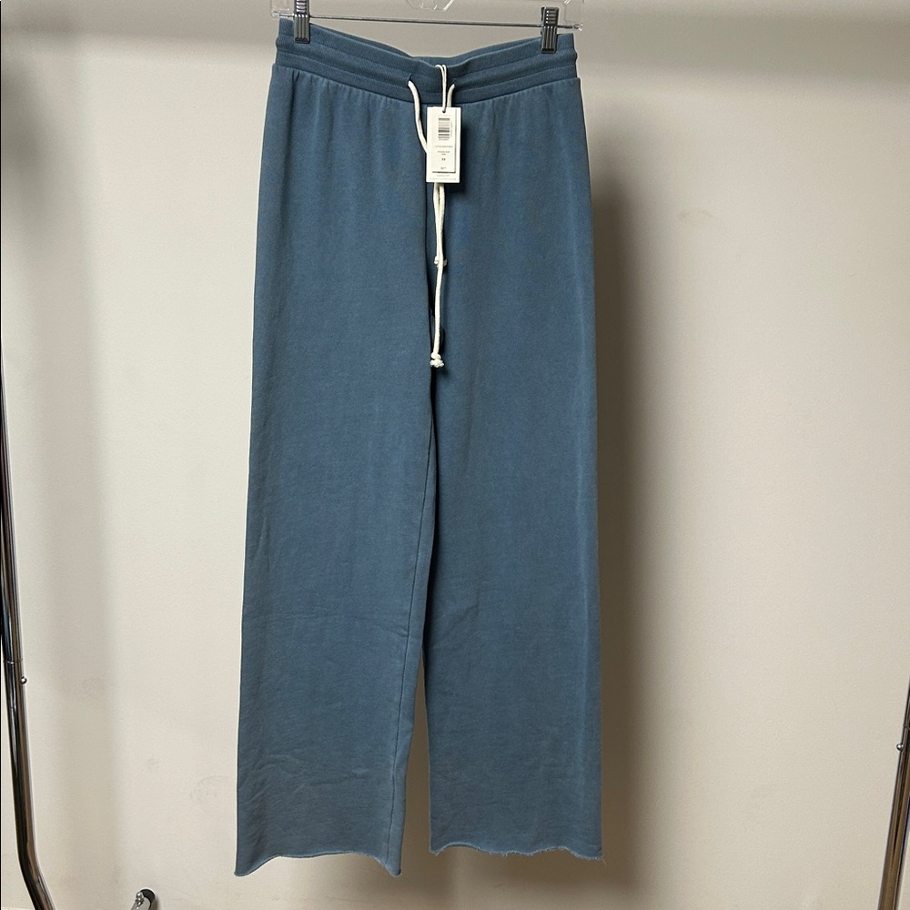 Z supply Layton sweatpants oceanic blue
